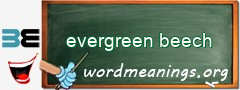 WordMeaning blackboard for evergreen beech